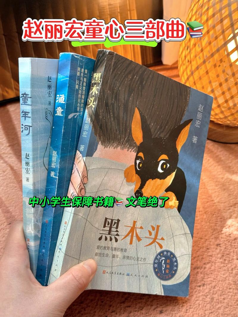 2013年中国好书的评选标准