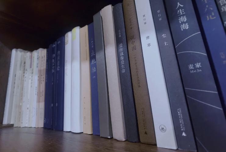 读书是人类的阶梯后面全部的是什么?