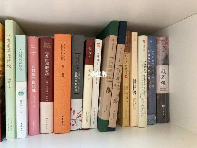 中文图书怎么查分类号?